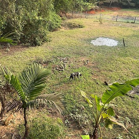 Hostelexp, Gokarna - A Slow-Paced Backpackers Community Exterior photo