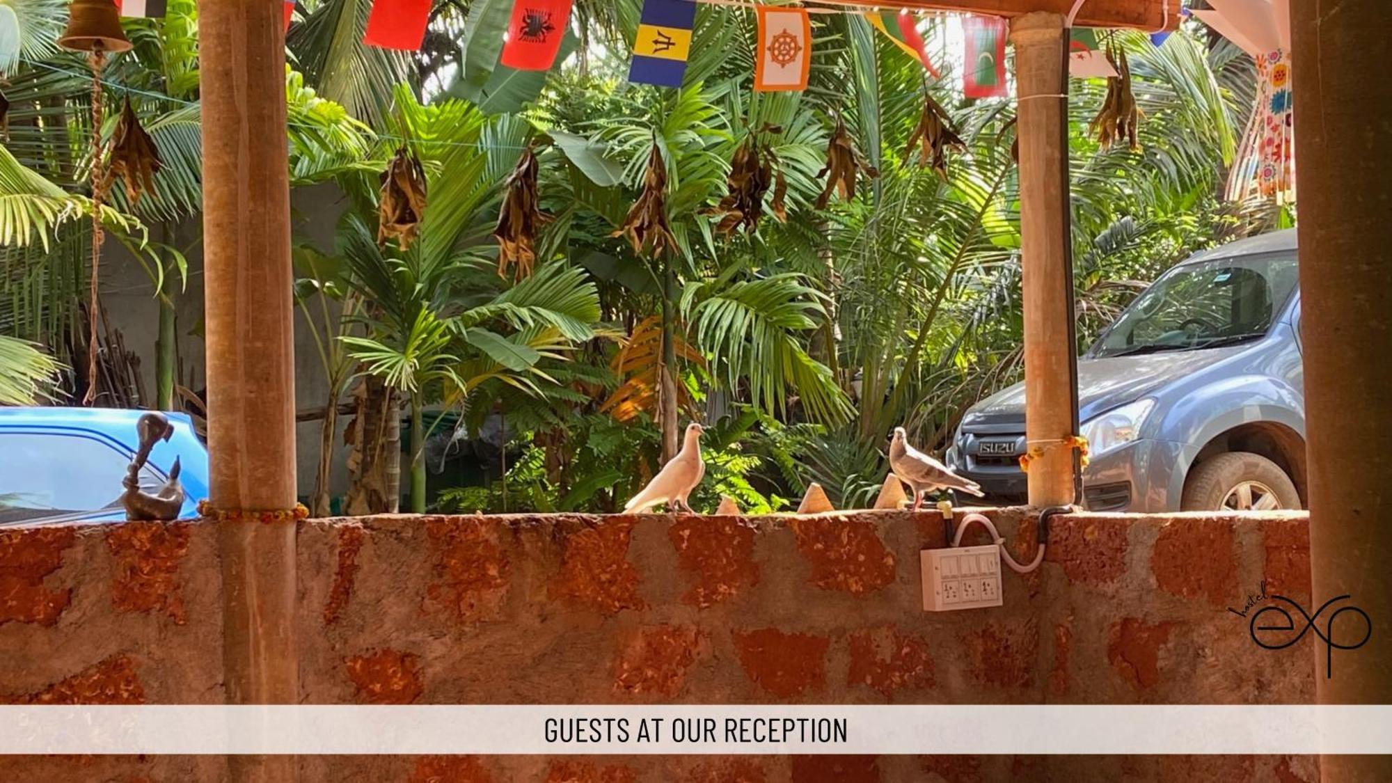 Hostelexp, Gokarna - A Slow-Paced Backpackers Community Exterior photo